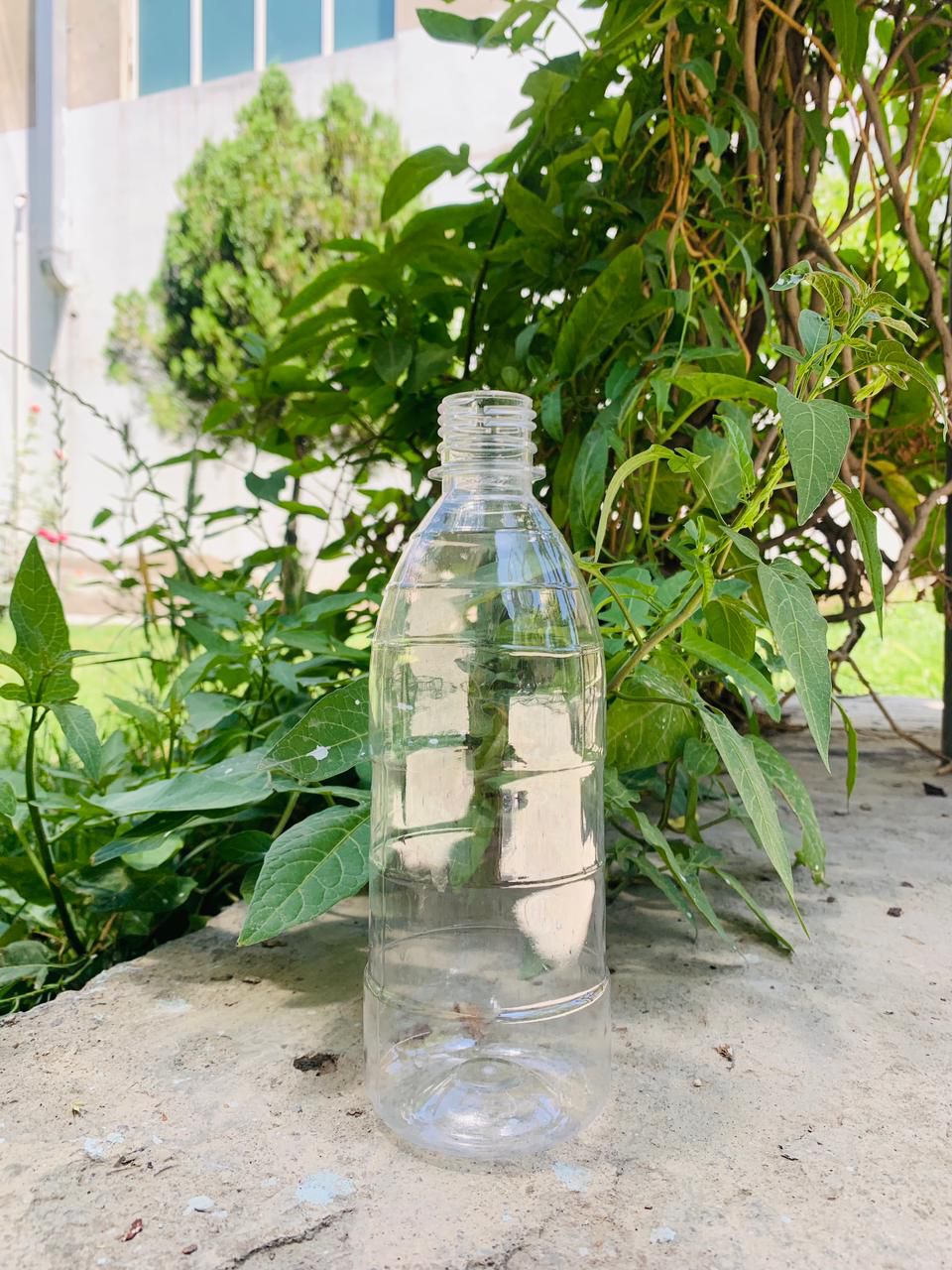 شرکت تولید بوتل نایاب گلف