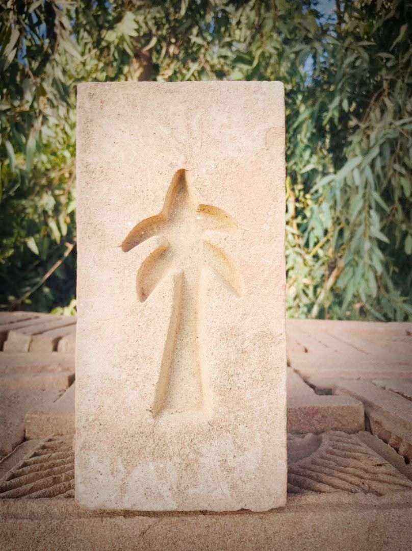 اسپیشل دبل ار د پخو خښتو باوری بټی