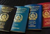 خدمات ویزه ایران زمینی به قیمت مناسب