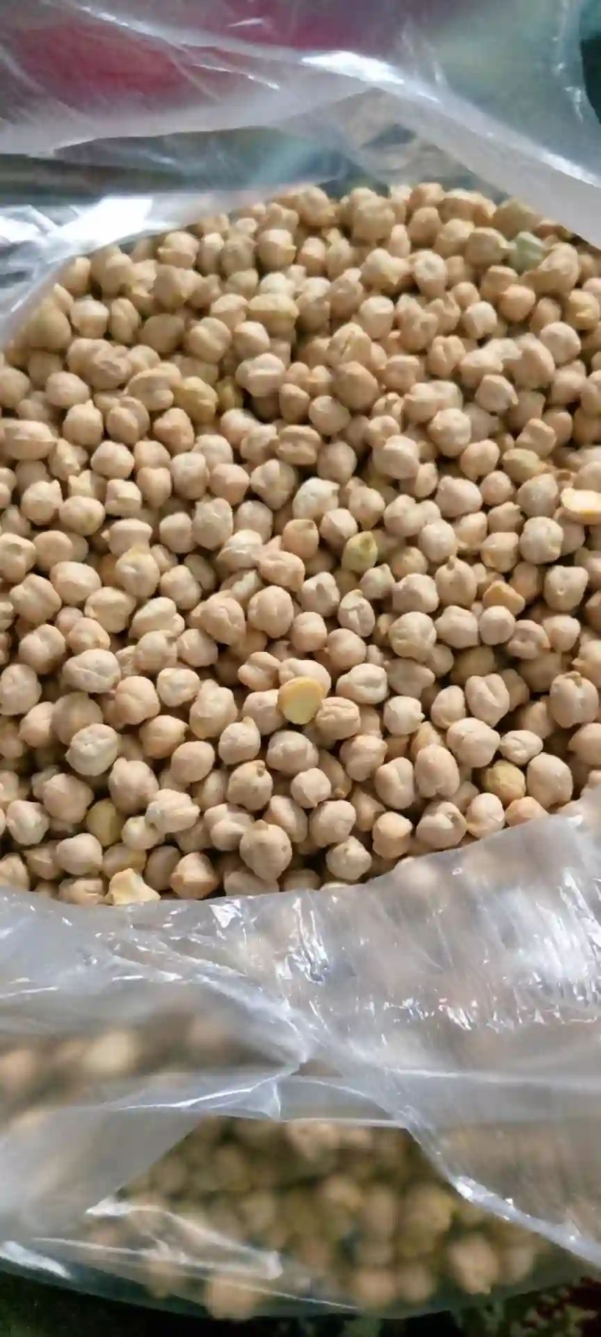 نخودایرانی