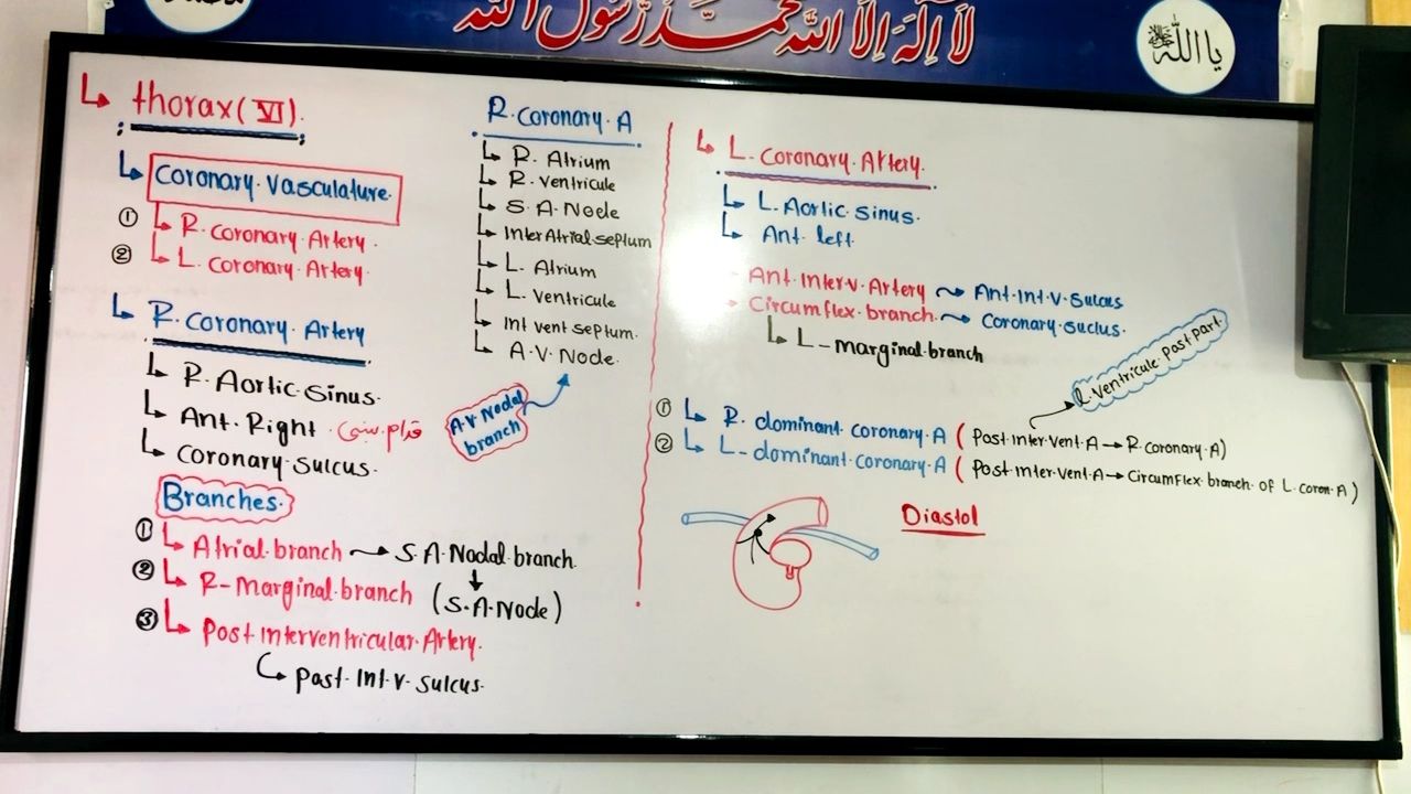 طبی درسونه استاد حمیدالله سالارزی