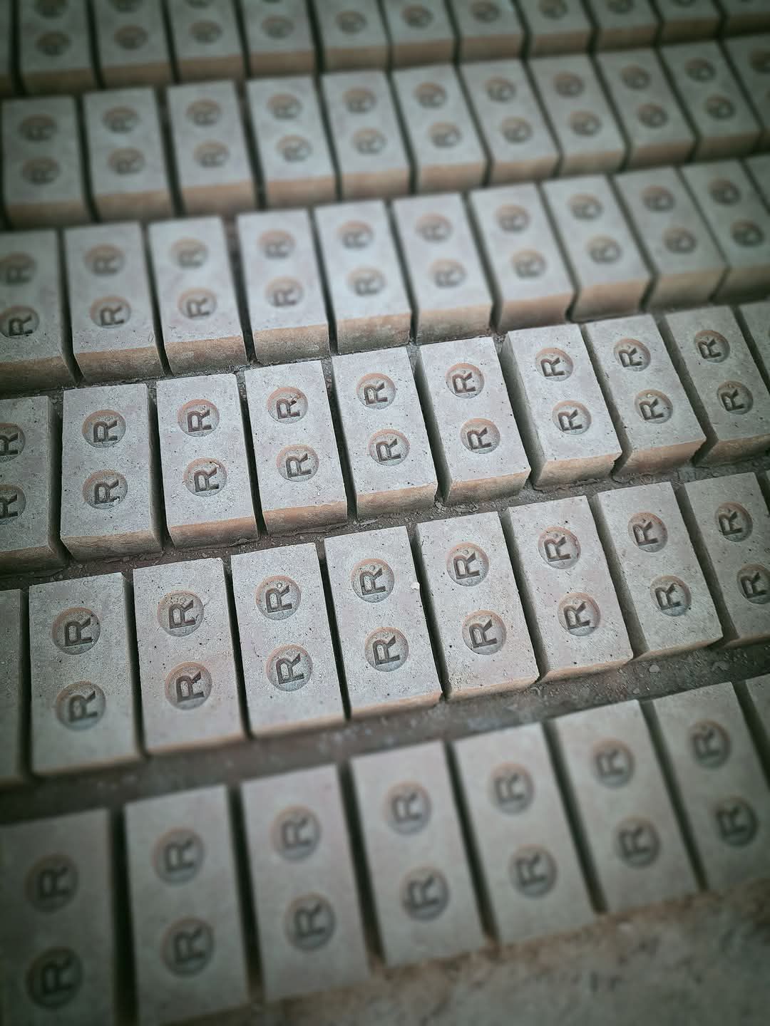 اسپیشل دبل ار د پخو خښتو باوری بټی