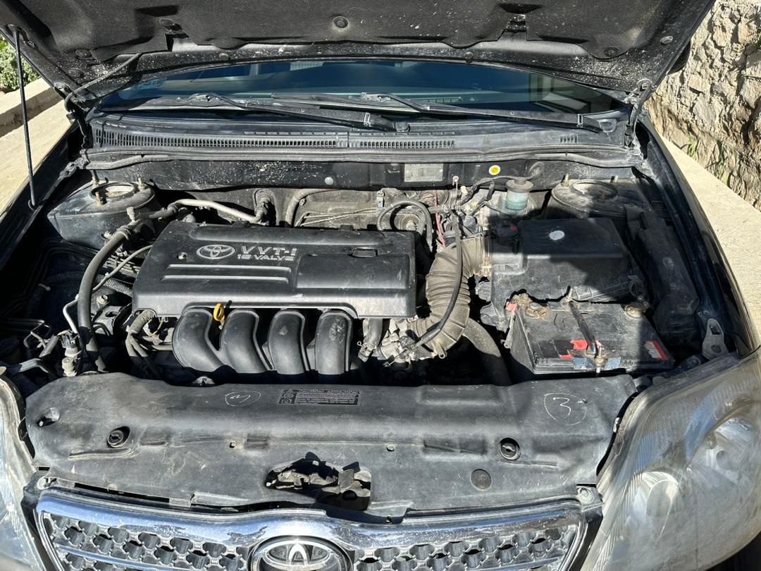 موتر فلدر جرمني