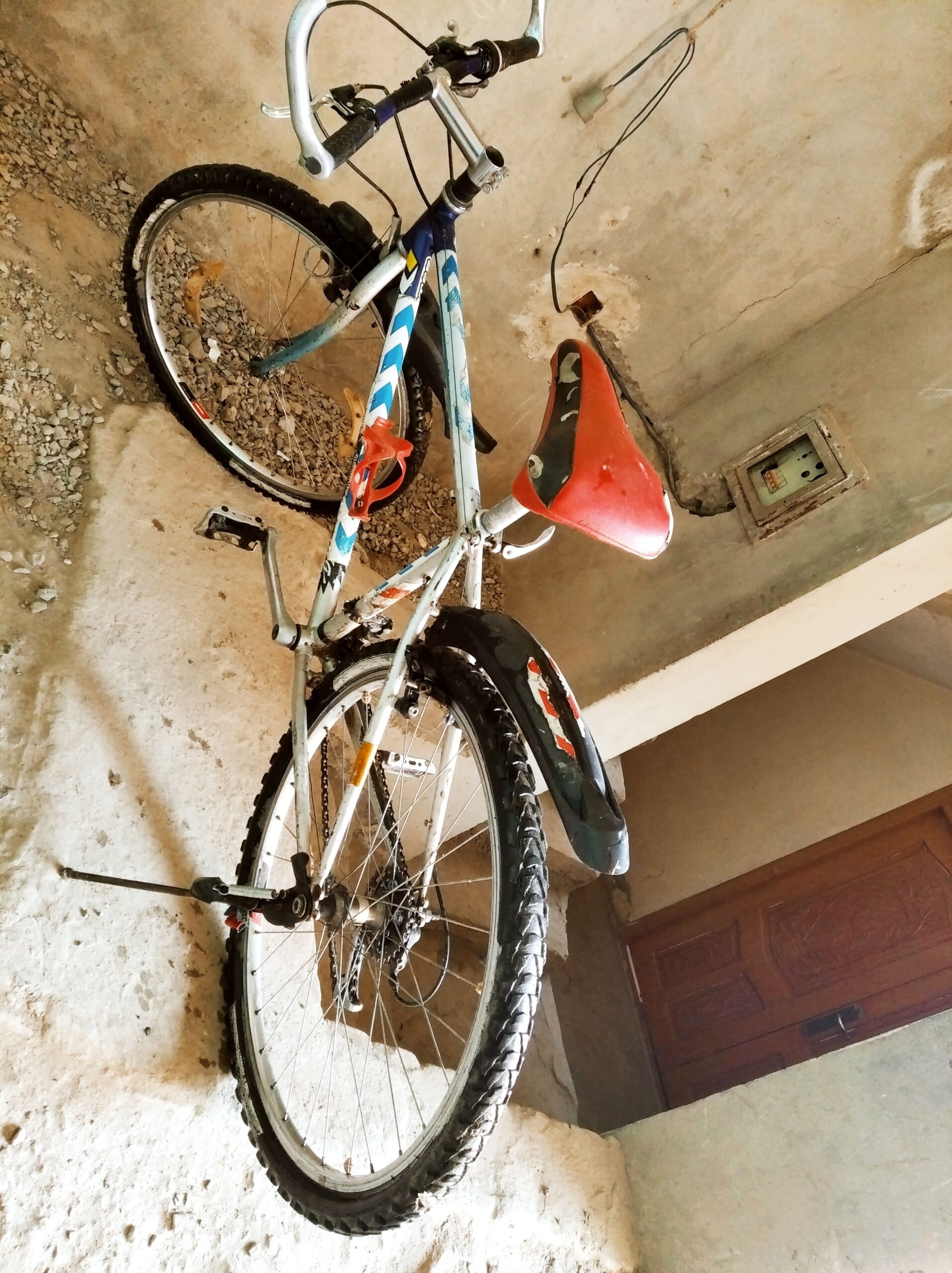 دو چرخه سپورتی