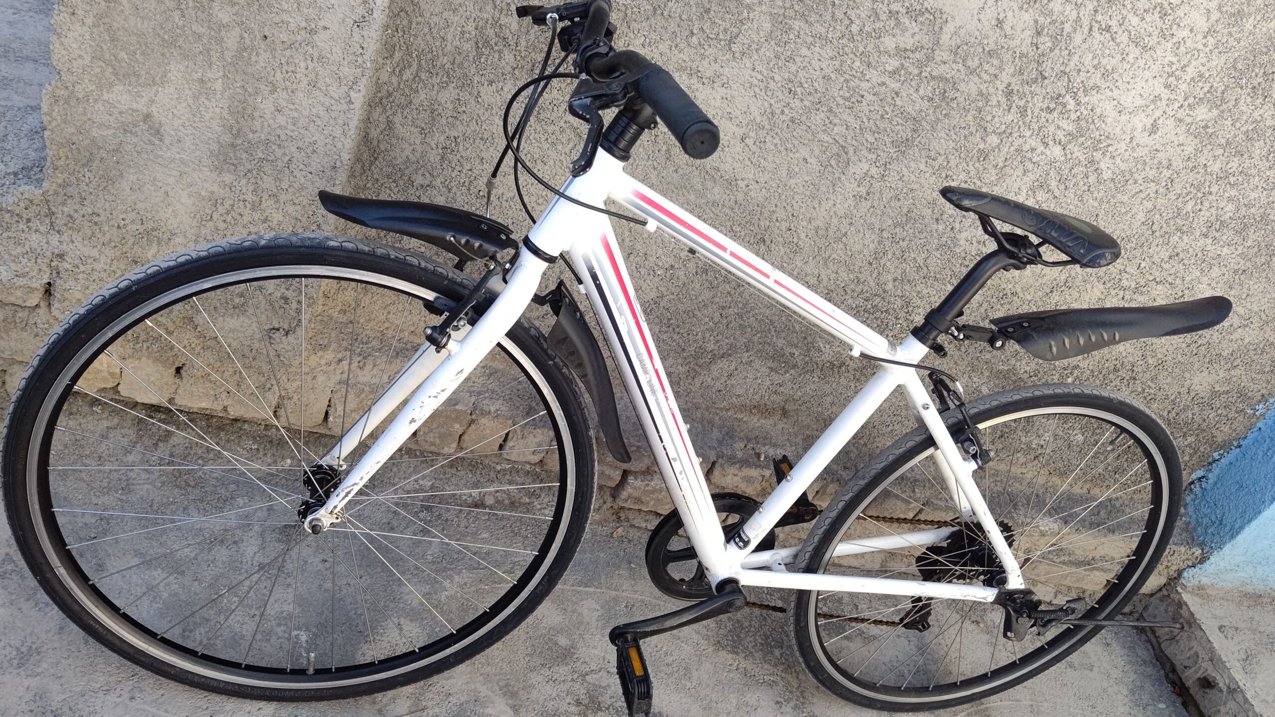 بایسکیل سپورتی