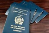 خدمات ویزه ایران زمینی به قیمت مناسب