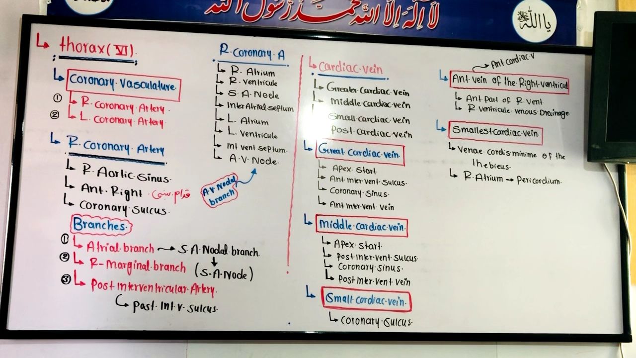 طبی درسونه استاد حمیدالله سالارزی