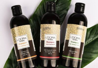 c98eb335-151e-44ac-bb08-f8ea01671910