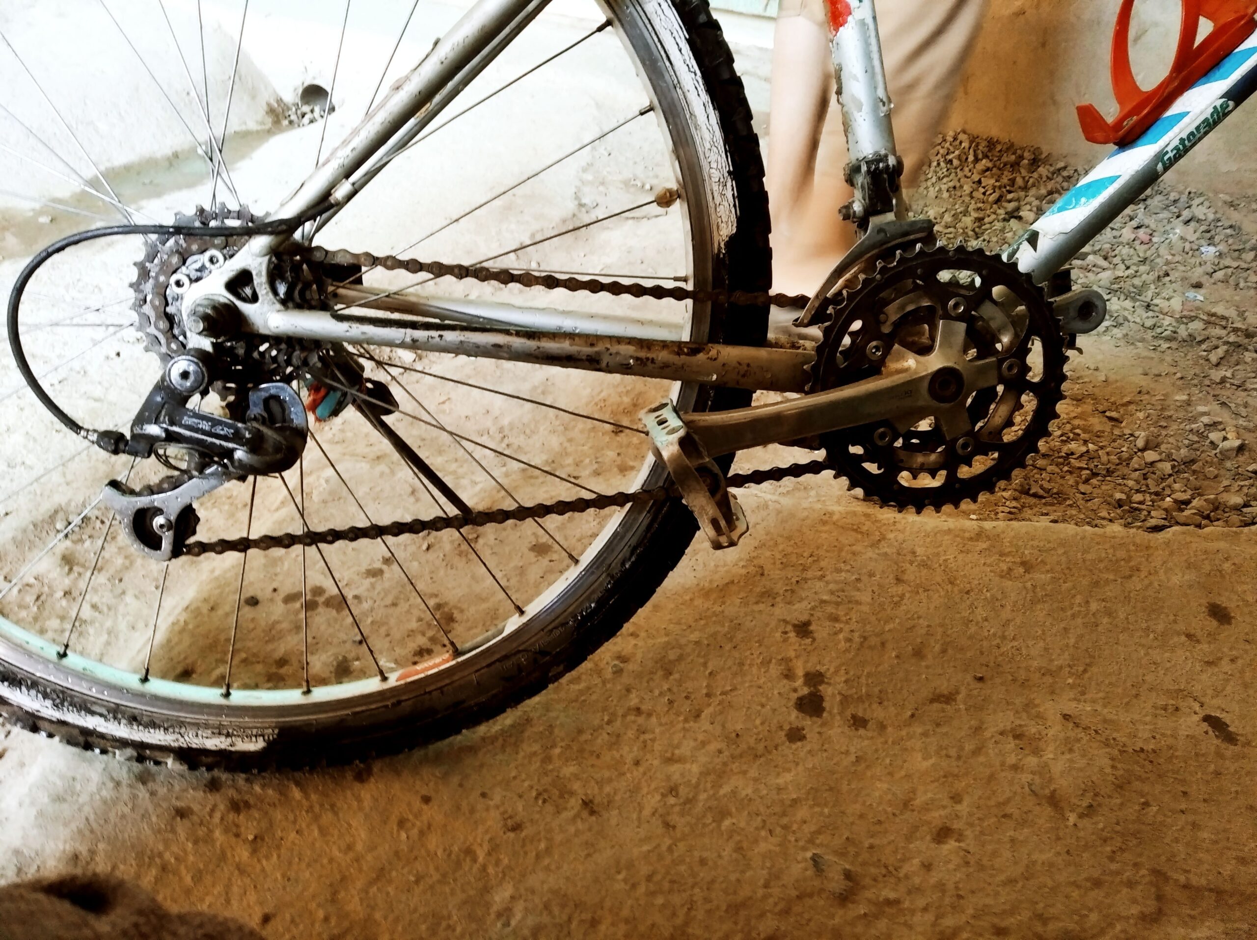 دو چرخه سپورتی