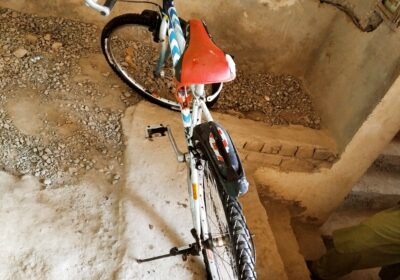 e9067281-8527-49e4-8972-9894fe551b7f