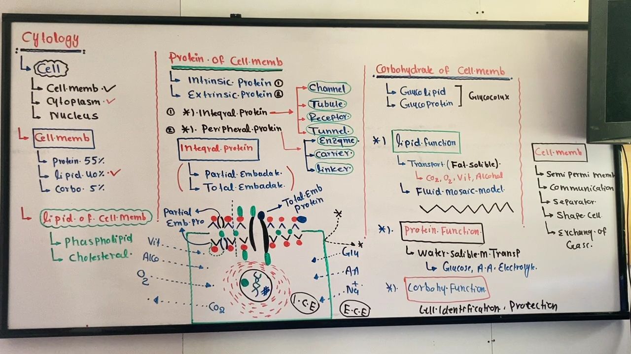 طبی درسونه استاد حمیدالله سالارزی