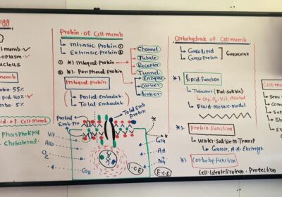 e9aaee7a-e41e-44db-8fb0-a750368e242d