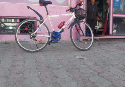 41dfadcd-bed0-4ceb-85ce-d8060adfc233