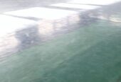 فرش جمنازیم برای فروش (700متر )