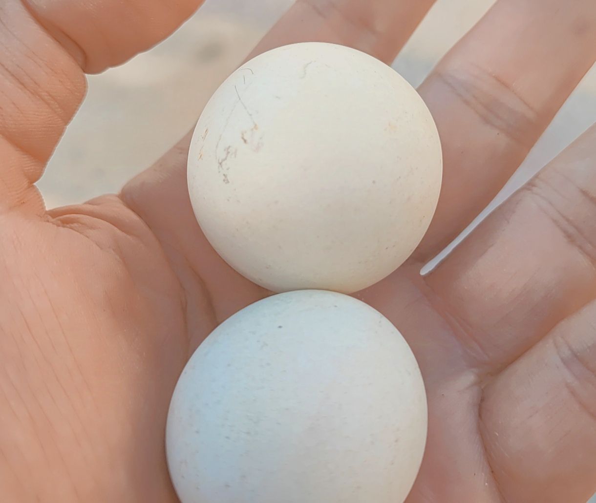 سنگ میخ‌ذوب‌کن