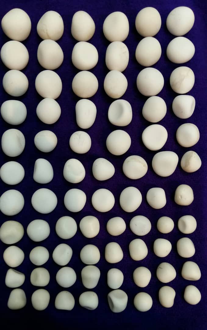 خریدارشهاب سنگ