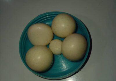 84141746-6417-43f7-b377-45faf5ec4649