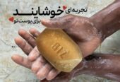 صابون زرد چوبه برای شفاف ساختن ورفع لکه صورت
