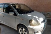 ويډز،سپورټي،کټ نه دي ،پاليټ دار ،نوارد