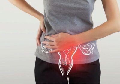 c1e88ea9-b463-4b98-9167-9267794581e7