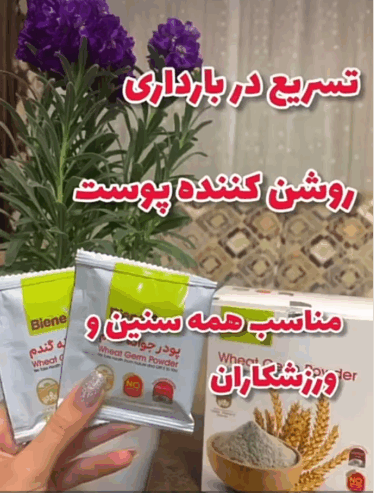 پودر جوانه گندم
