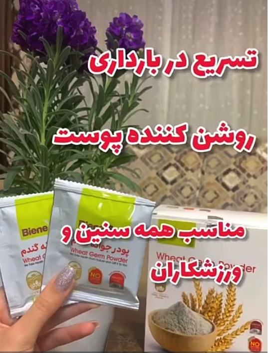پودر جوانه گندم