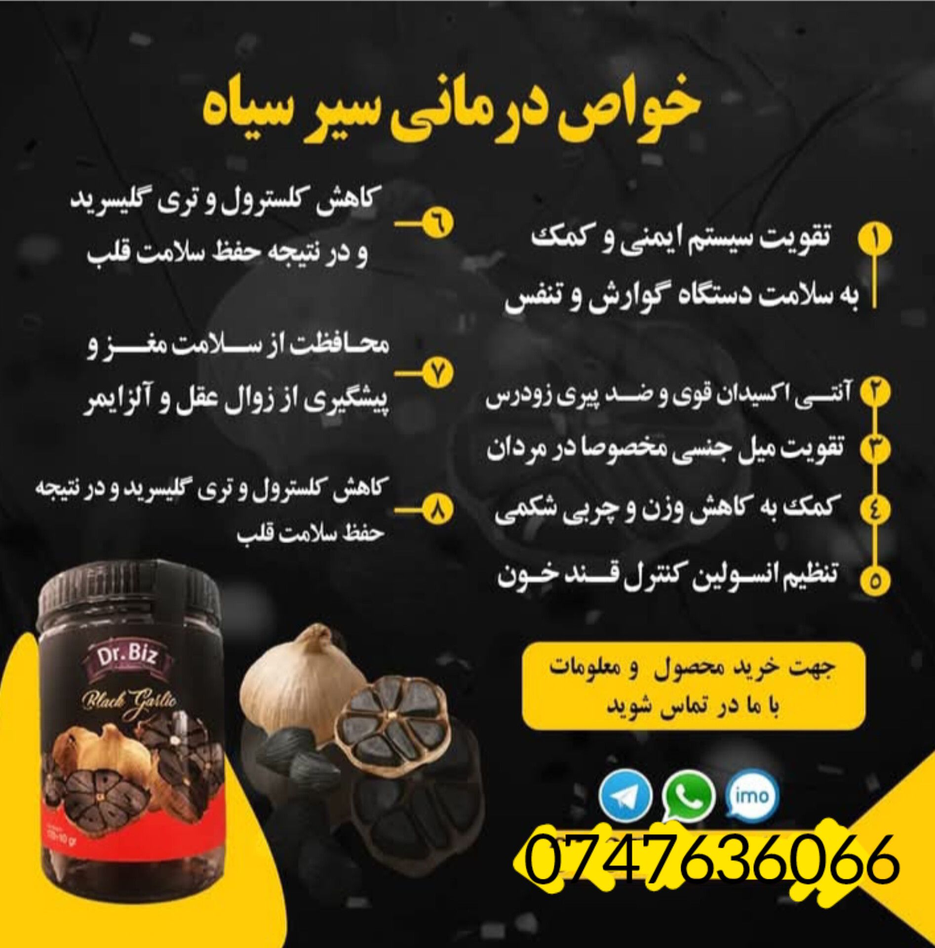 سیر سیاه درمان کننده بیماری های چربی جگر چربی خون