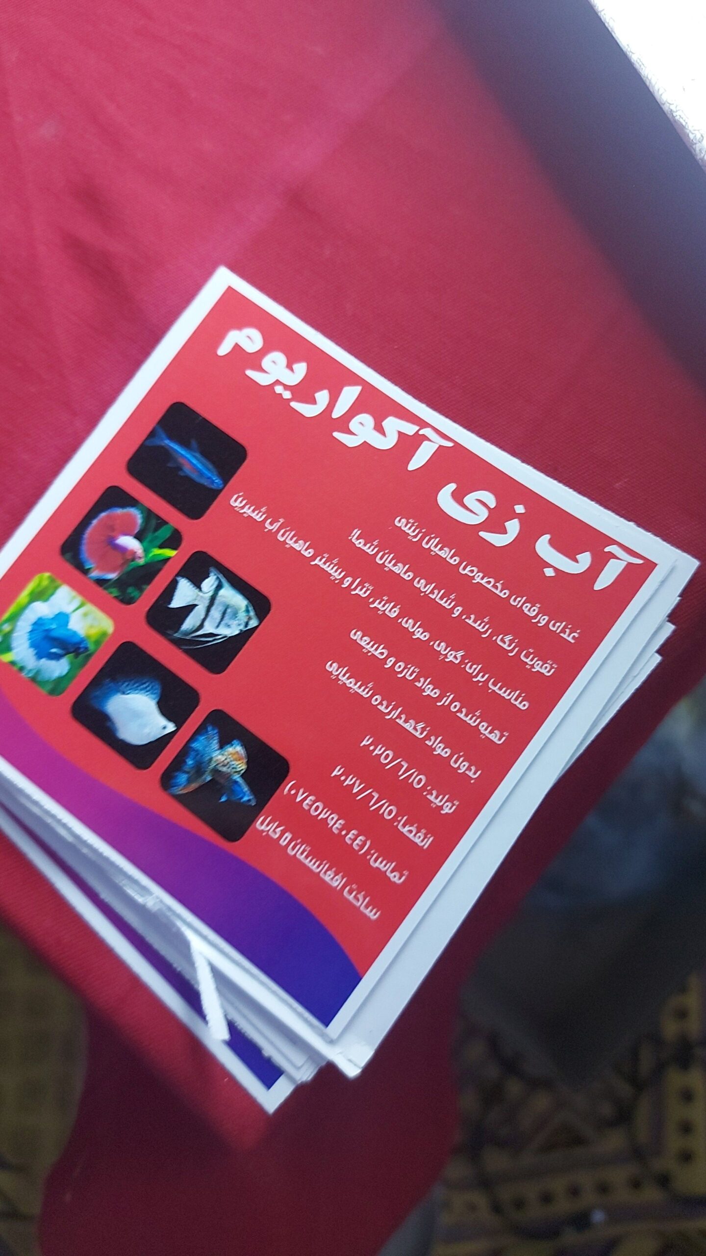 غذای ماهیان زینتی آب شیرین