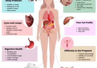 0895d875-c101-435a-a512-61e1d0a7c3e4