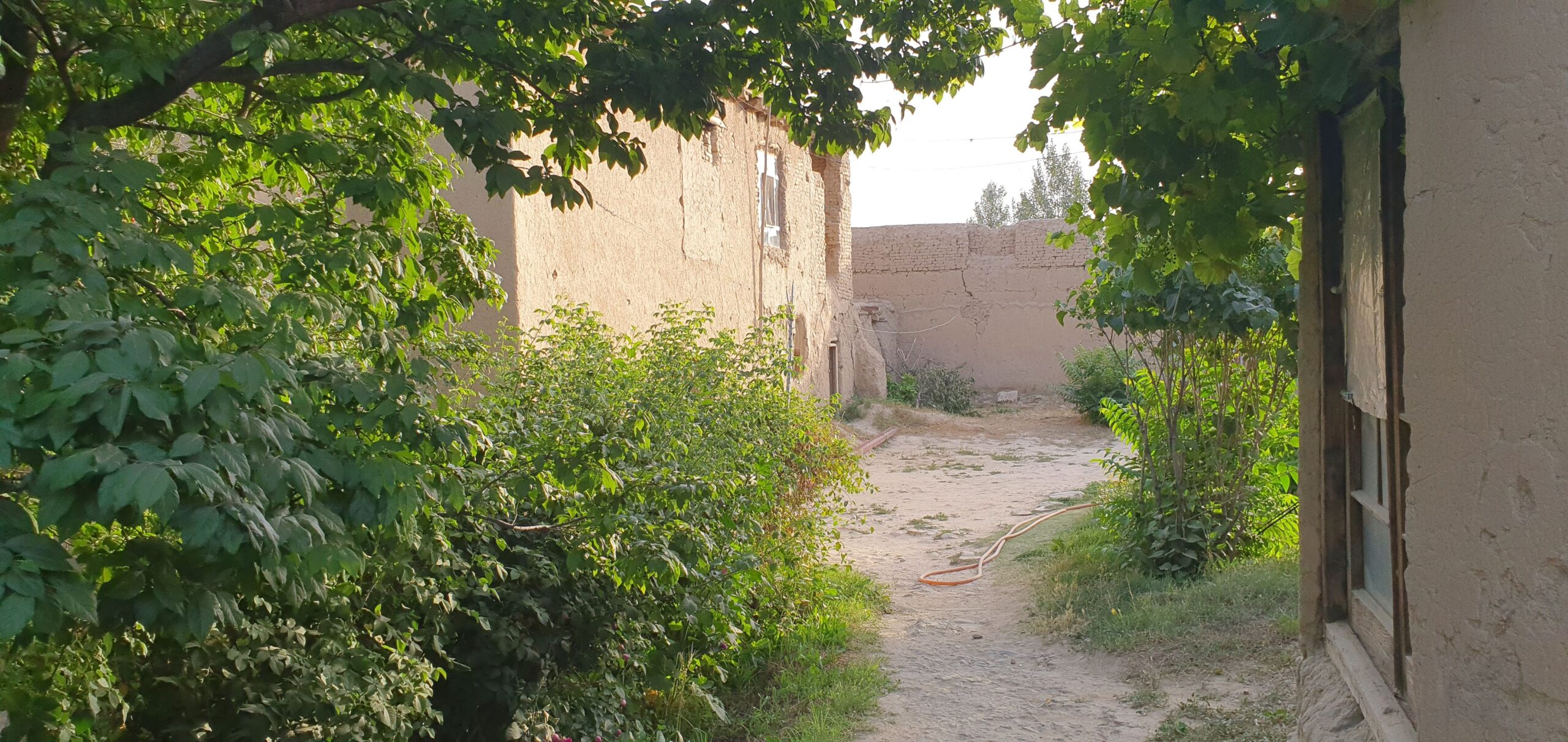 حولی فروشی مثل یک باغ