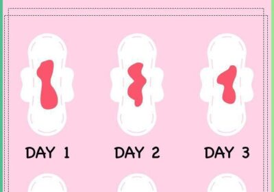 5cdcaee0-252f-457a-92b3-45d142ec6b8e