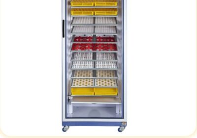 735e598e-aa59-4531-badf-6f36a2fee46b