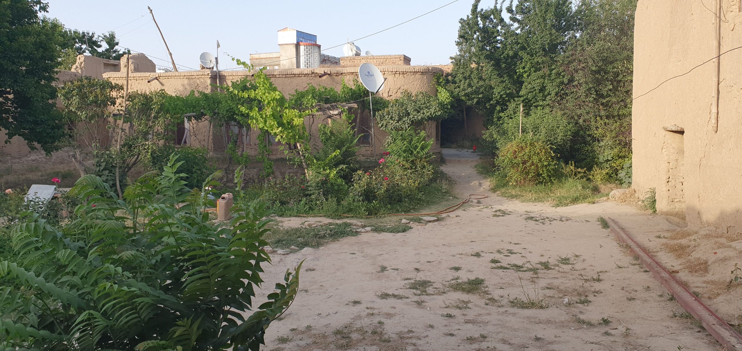 حولی فروشی مثل یک باغ