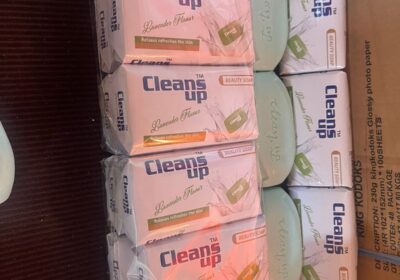 ae73f063-aaf0-4ee0-900c-998a5e612b18