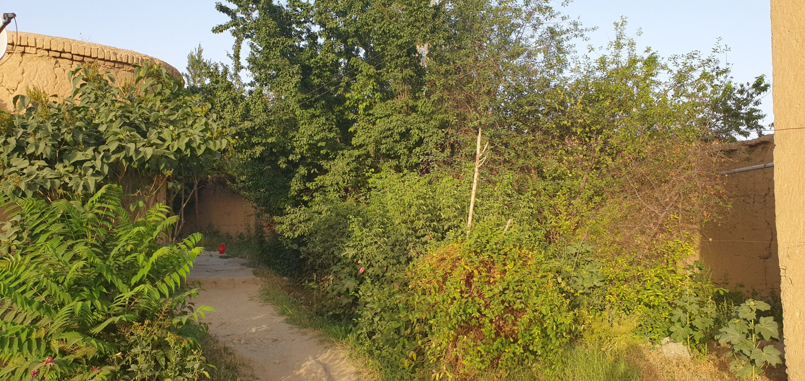 حولی فروشی مثل یک باغ