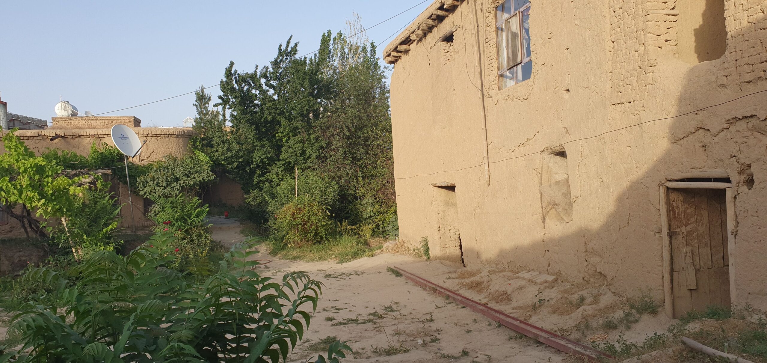 حولی فروشی مثل یک باغ