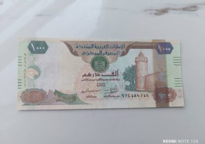 83438871-1cf2-4b35-b648-54a28d0dc678