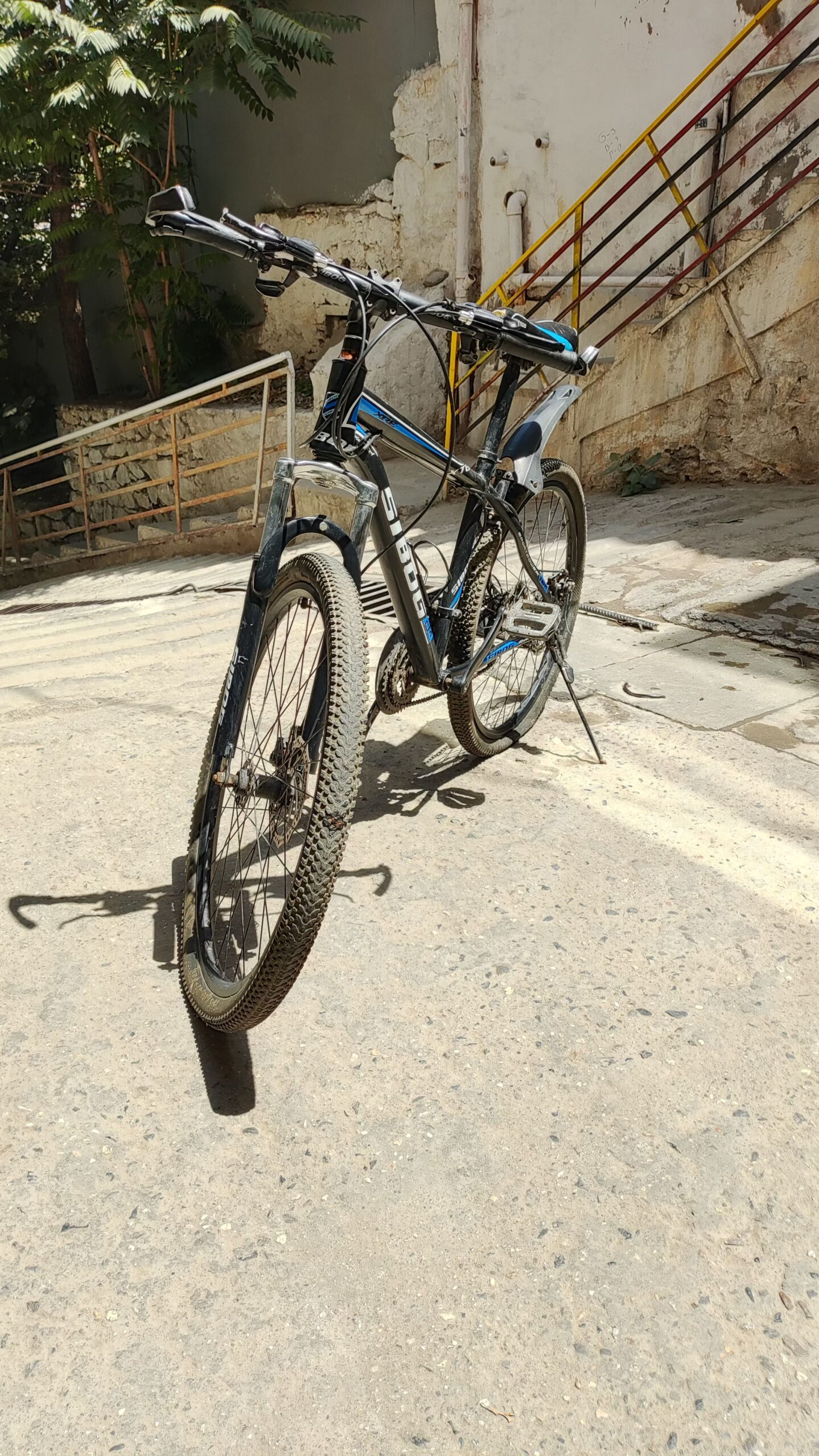 بایسکیل فروشی بدنه کربن