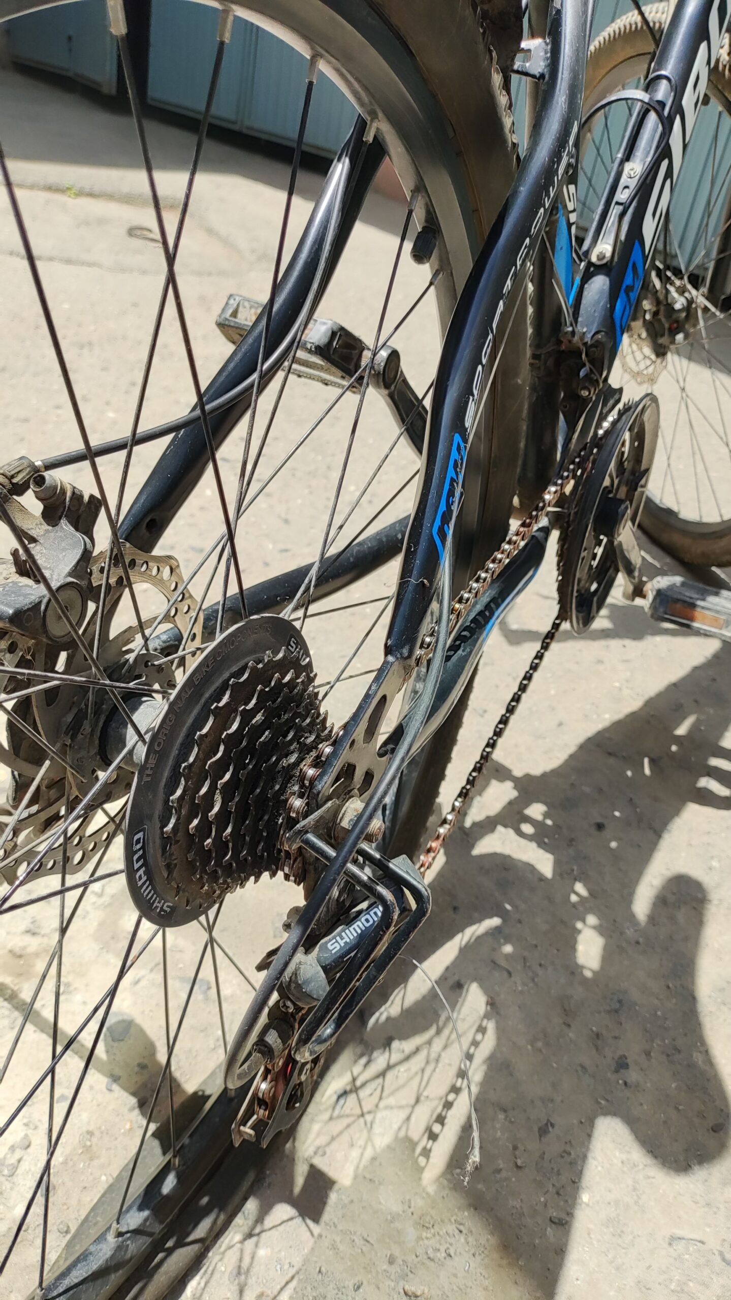 بایسکیل فروشی بدنه کربن