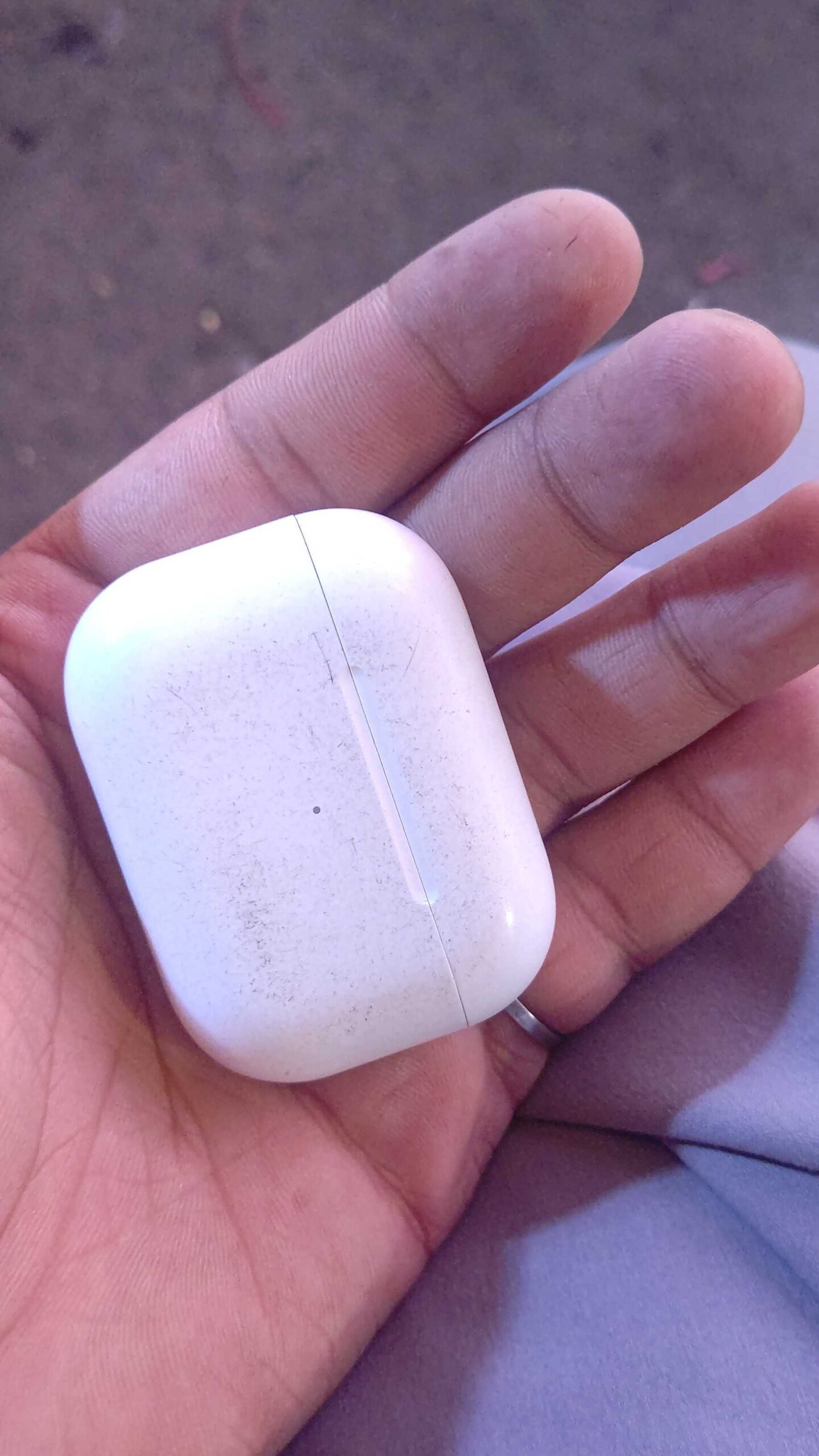 ګوشکي اصلي امریکايي