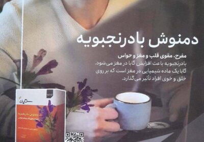 ba08657f-5cdd-4d4a-bfd3-983ae96e4619