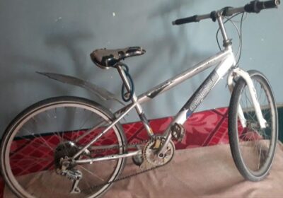 c498795f-d133-4876-b89c-a12ce0270adb