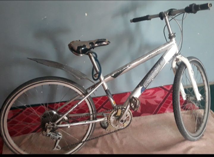 بایسکل فروشی