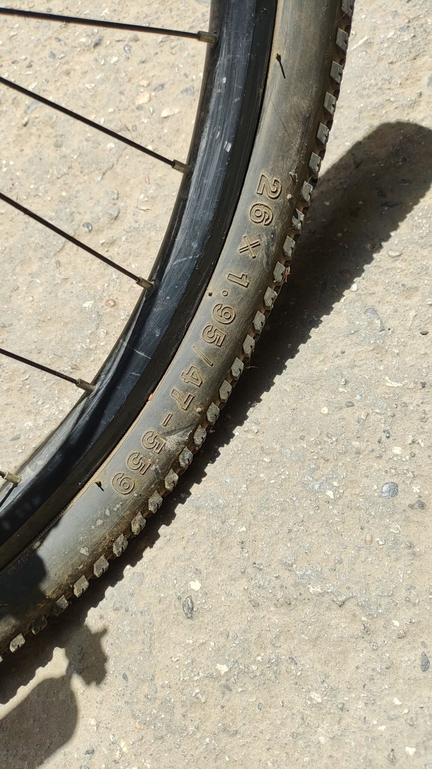 بایسکیل فروشی بدنه کربن