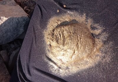 e8386607-b448-4f32-b0e2-7fc04e881e5f