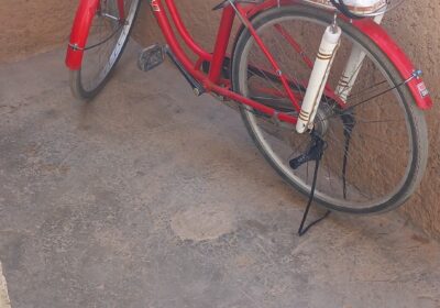 0411ae84-853d-4b54-b3a7-8193dc095a39