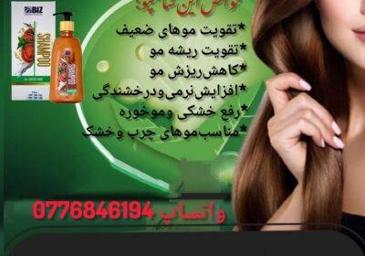 447d50c0-6b82-43d3-b544-d88ab1e4c9e6