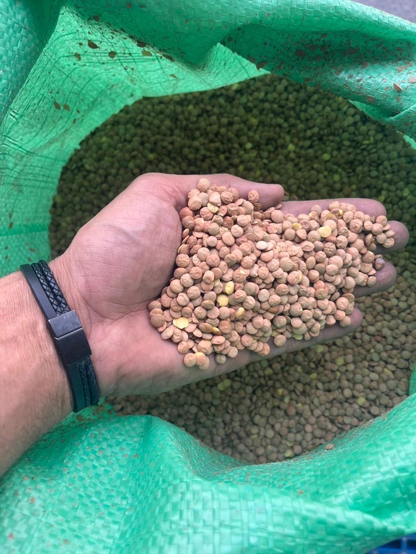 صادرات كليه موارد مورد نياز در افغانستان