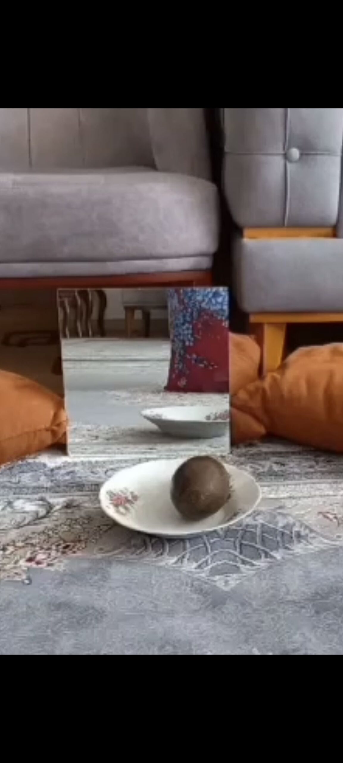 خریدارسنگ‌های ماورایی