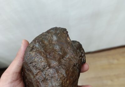 cb0c6900-dbbd-42b4-a75e-ae2736247ce1